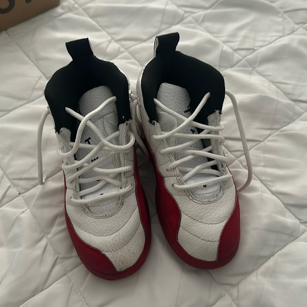 COPY - Retro 12 Jordan